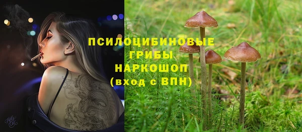а пвп мука Алексеевка