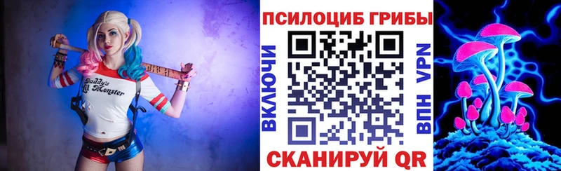 купить наркотик  Когалым  Галлюциногенные грибы Cubensis 